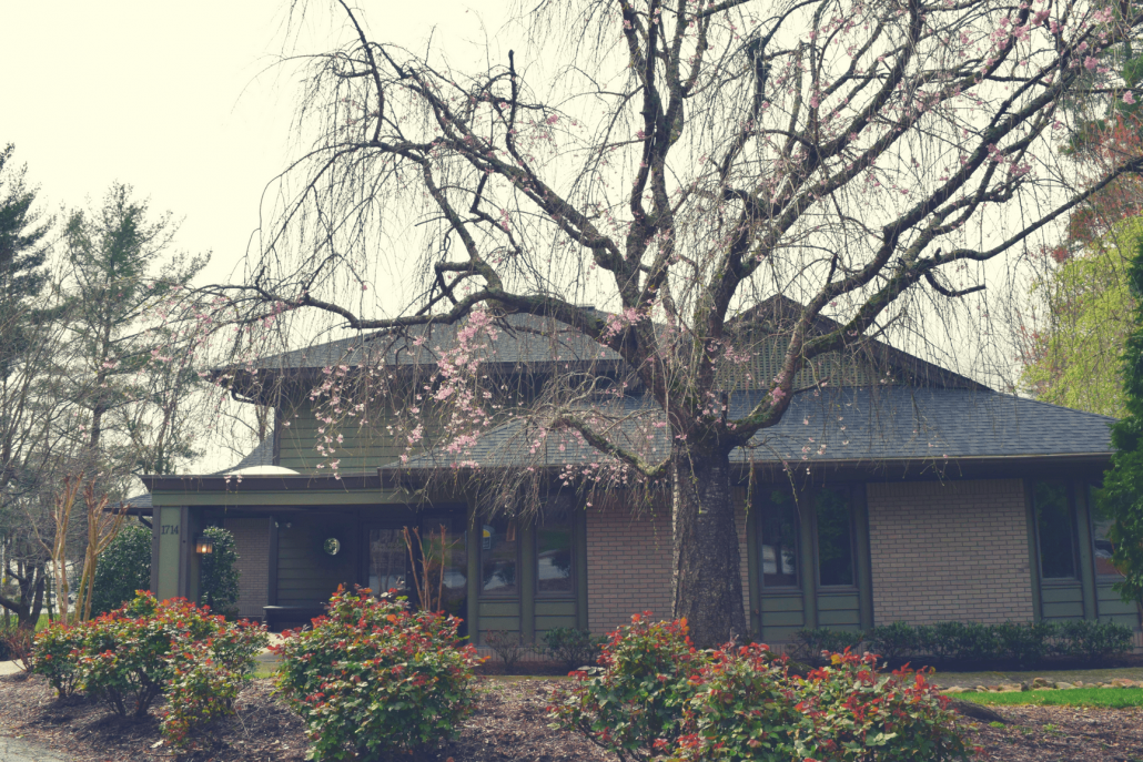 Front of Blue Ridge Orthodontics Hendersonville office