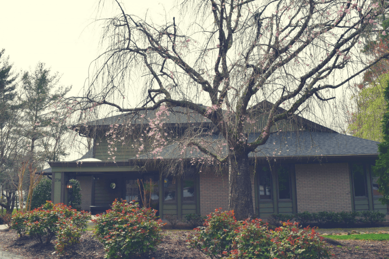 Blue Ridge Orthodontics office