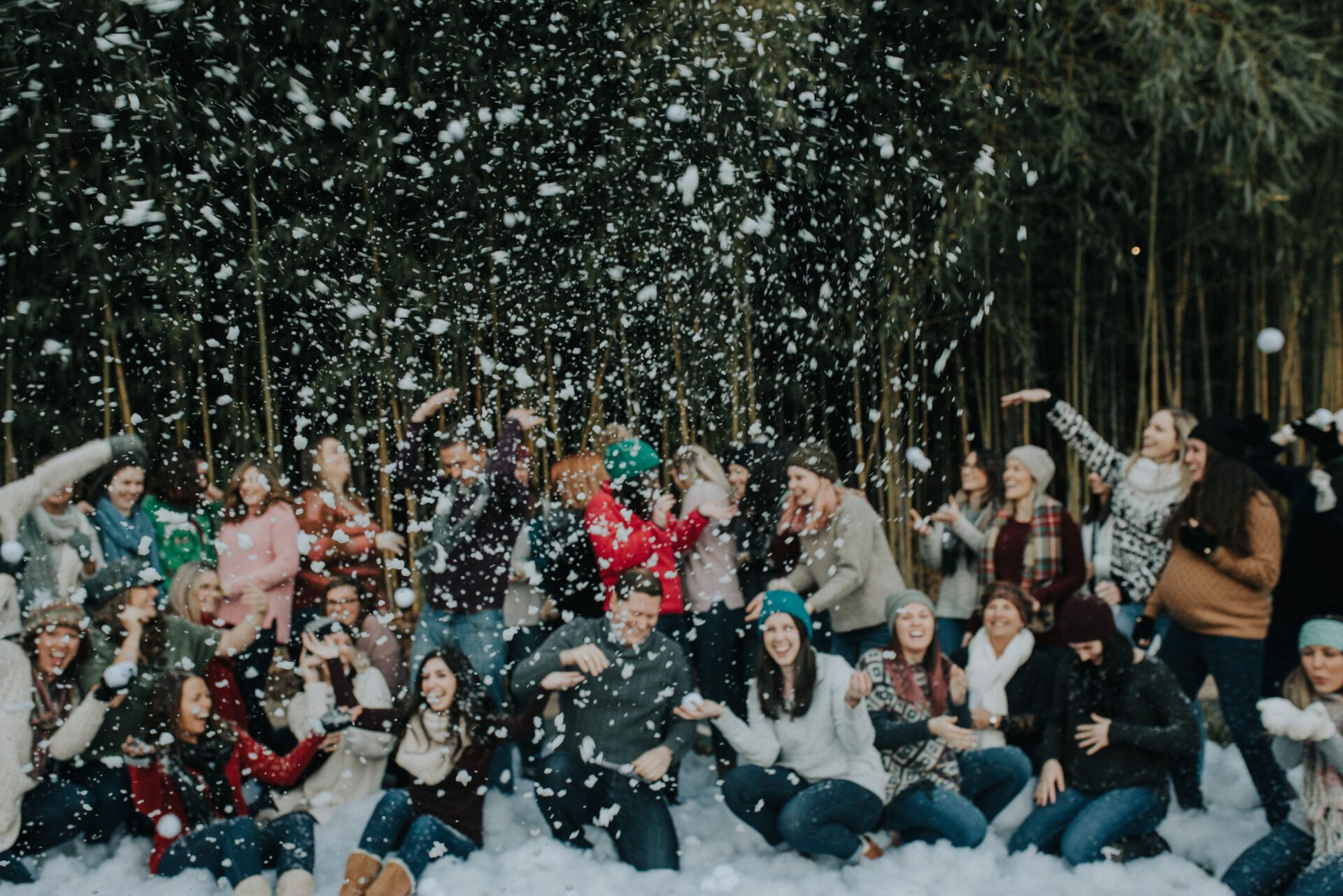 blue ridge orthodontics snowball fight